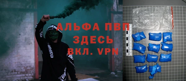 прущие грибы Дедовск